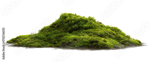 Lush green moss mound, isolated on black background