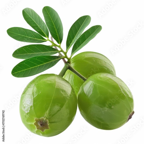 Vibrant green amla leaves stand out beautifully against a crisp white backdrop