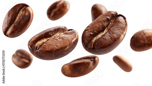 Wallpaper Mural Roasted coffee beans in mid-air, various angles.  Dark brown, with visible grooves Torontodigital.ca