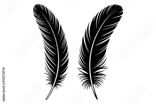 Two elegant black feathers with detailed barbs displayed against a white background space