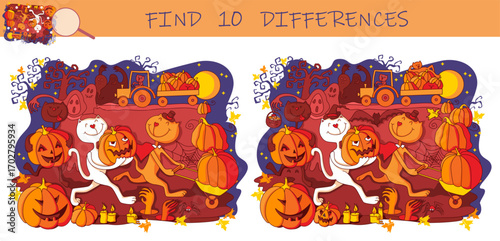 Find the differences game. Halloween night with Cats, Pumpkins, Ghosts. Jack-O'-Lantern Halloween celebration. Hand drawn vector illustration.