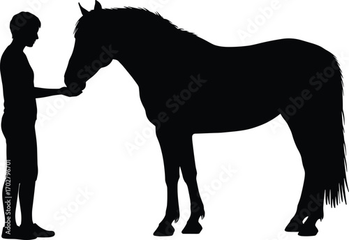Young person feeding a horse, animal care, horse lover, equestrian lifestyle, peaceful interaction, human and animal bond, outdoor nature, calm moment