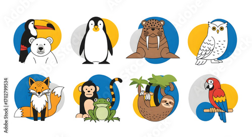 Collection of various cartoon animals, including a toucan, penguin, walrus, owl, fox, monkey, sloth, and parrot.