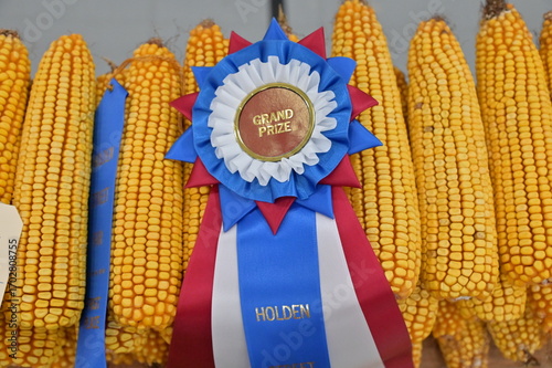County Fair Corn