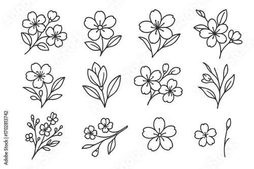 Blooming Branch Icons. Line style icons of blooming branches and twigs: cherry blossom twig, almond bloom, dogwood branch, apple