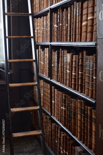 Canvas Print library books dublin