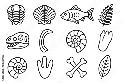 Fossil Era Icons. Line style icons of fossil types by era: Cambrian trilobite, Ordovician brachiopod, Devonian fish, Carboniferous