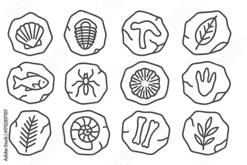 Fossil Icon Collection. Line style icons of rocks with fossils: shell imprint in stone, trilobite in slab, dinosaur bone rock,