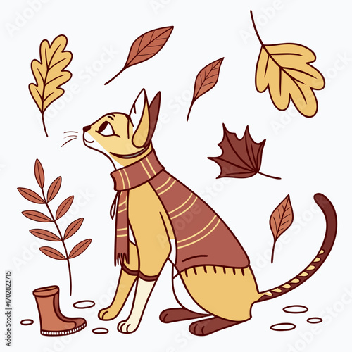 Playful Loving Oriental Shorthair design, styled with wearing a cape and Autumn Leaves shades in a Autumn setting