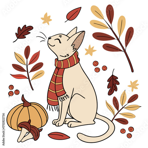 A Shy Oriental Shorthair with with a scarf in a Autumn theme – Autumn Leaves palette SVG illustration