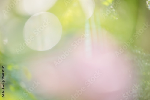 Green with pink abstract defocus light background.