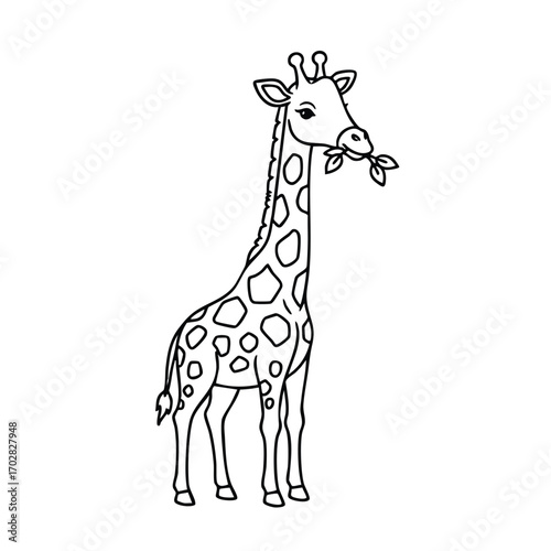 A detailed black and white line drawing of a giraffe standing and eating leaves with distinct spots and long neck features