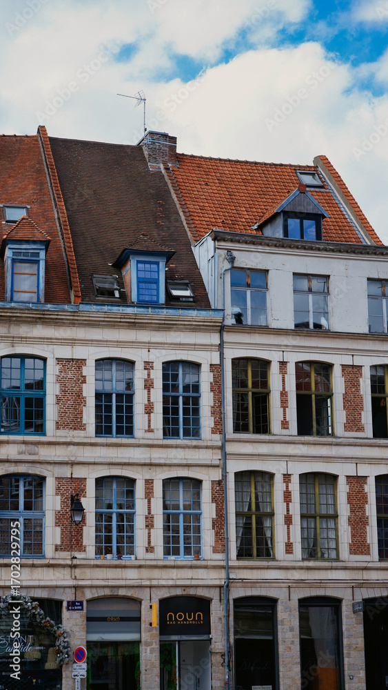 Fototapeta premium Brick houses in the center of a Flemish city