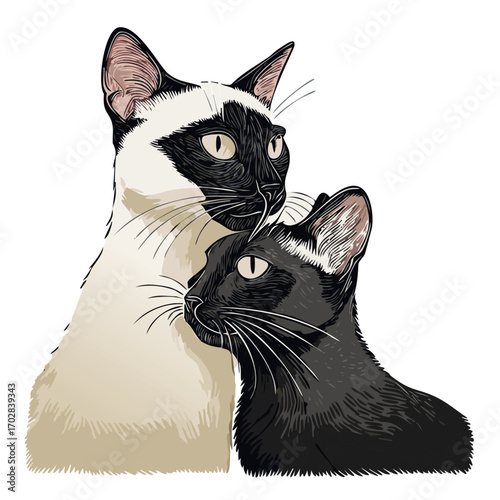 a simple drawing of two cats being affectionate to each other. one of the cats is siamese and the other is black.