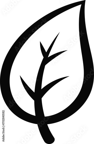 leaf,a  simplified outline of a leaf, a key organ of vascular plants. 