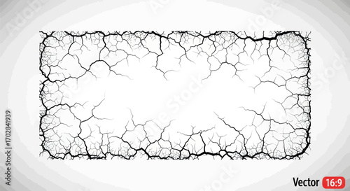 Cracked earth frame with stark black and white contrast creating a striking visual texture