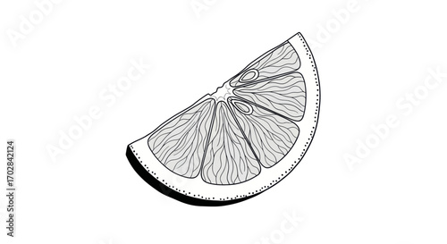 Elegant citrus slice illustration, simple yet sophisticated botanical artwork for prints and