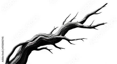Monochrome depiction of a weathered tree branch against a stark white backdrop providing graphic
