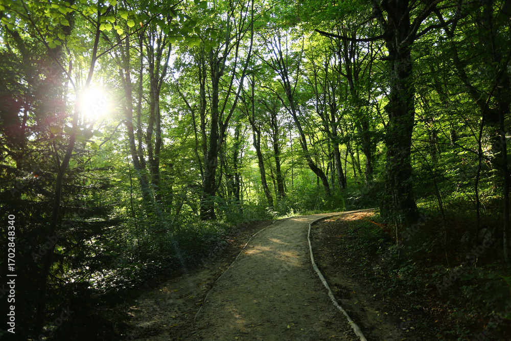 Obraz premium beautiful plivitce water landscapes in croatia