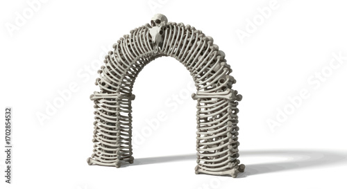 Architectural skeletal archway on an isolated white backdrop provides stark visual contrast