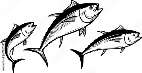 Majestic tuna fish leaps upwards in monochrome graphic illustration design
