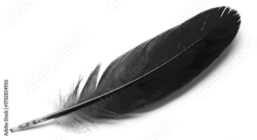 Detailed macro shot of a single black feather against a clean white canvas background
