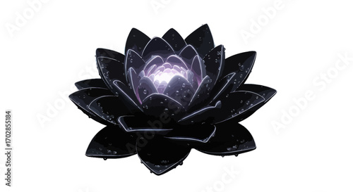 Enigmatic black lotus bloom bathed in ethereal light against a stark white background