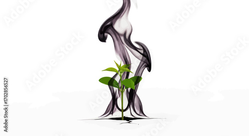 Resilience and rebirth represented by a plant emerging from destruction smoke