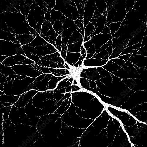 Neuron cell structure illustration for biology and science education with black background and white lines