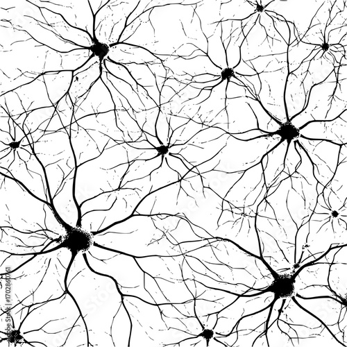 Neuron cells brain cells neural network nervous system biology science medical illustration detailed anatomy art