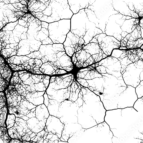 Black and white neuron cell structure illustration for medical research and scientific study use image