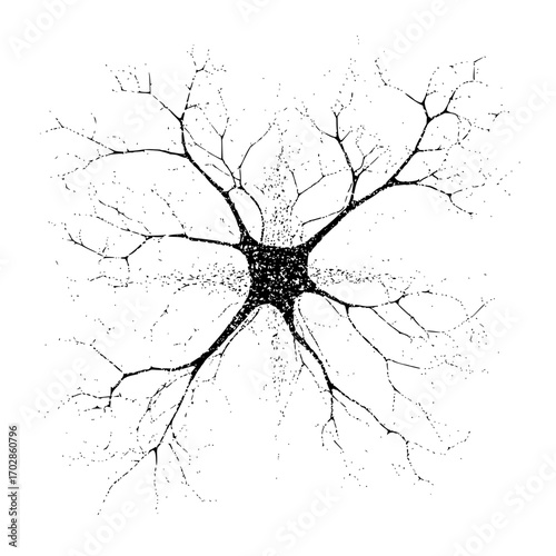 Neuron cell structure diagram with dendrites and axon terminals for biology education and neuroscience study