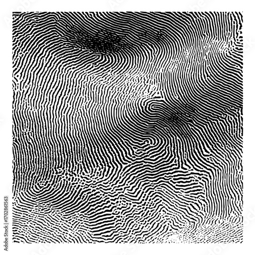 Detailed fingerprint pattern texture black and white biometric identification security scan abstract line art graphic design 100