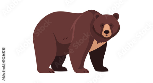 Captivating vector illustration showcasing a solitary brown bear standing majestically in a minimalist flat style illustration