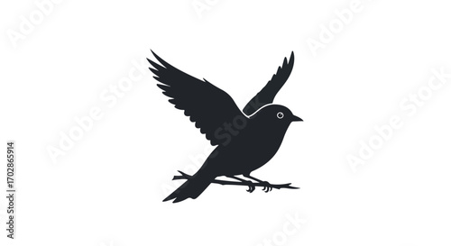 Silhouette of a songbird perched momentarily on a twig, preparing for flight against a stark white background