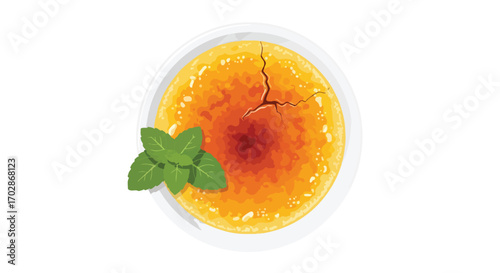Elegant vector illustration of a crème brûlée with caramelized crust garnished with fresh mint leaves perfect for food blog content