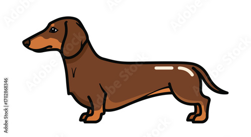 Cartoon dachshund illustration featuring a brown-coated wiener dog on a pristine white background, suitable for children's content