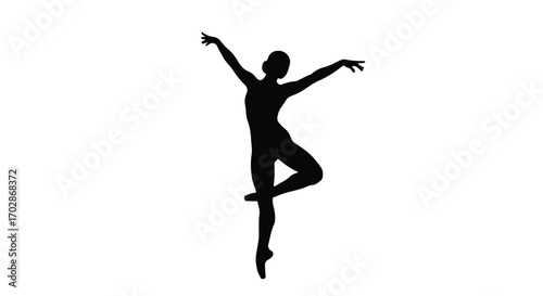 Elegant silhouette of ballerina mid-performance showcasing grace and artistry in dance artistry ballet