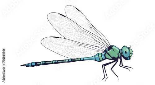 Detailed dragonfly illustration with translucent wings and segmented body in pastel colors on a pure white background