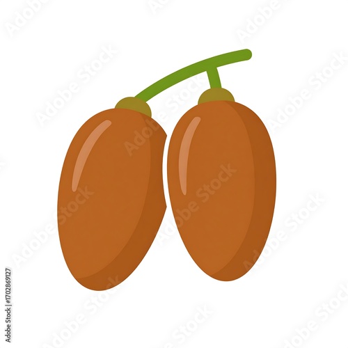Two brown fruits on a stem
