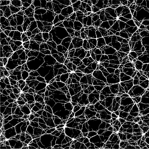 White network on black background abstract connecting lines pattern complex system web structure design element art