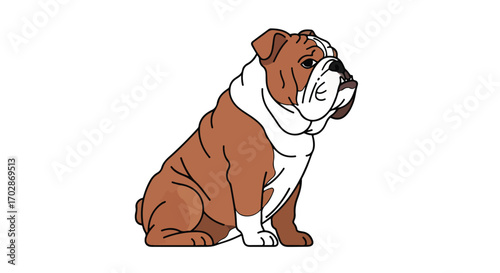 Detailed illustration of a majestic brown and white english bulldog sitting proudly with a determined expression
