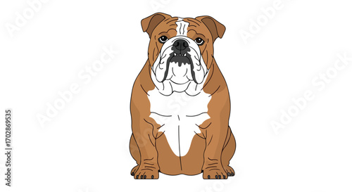 Detailed illustration of a seated bulldog with a distinctive wrinkled face and stout build, isolated on a plain background