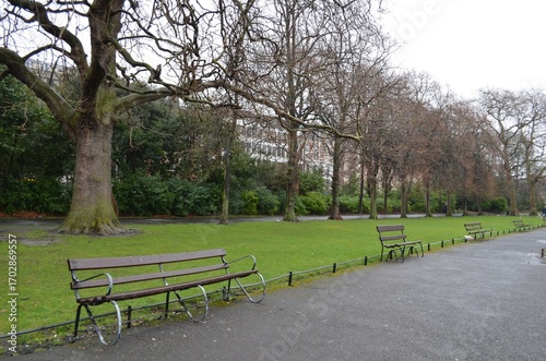 Photography irish park in the rain