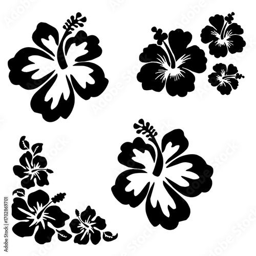 hibisco