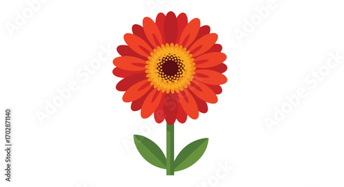 Vibrant botanical artwork of a reddish-orange gerbera daisy with a captivating sunny yellow center viewed against a plain white backdrop