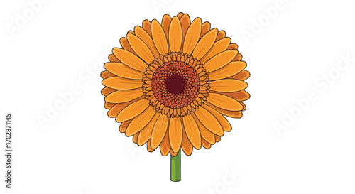 Vibrant depiction of a golden orange gerbera daisy, featuring a rich brown center and green stem against pristine backdrop