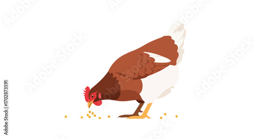 Illustration of a brown hen pecking grain on white background demonstrating poultry farming and animal agriculture within a clean graphic design style
