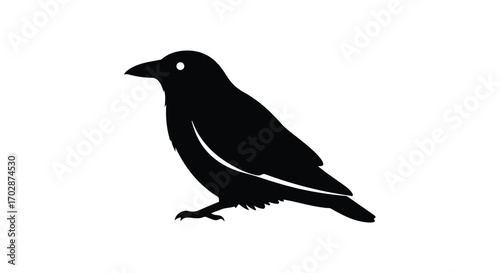 Isolated raven silhouette against white background, a bold depiction of a crow in minimalistic monochrome avian portraiture concept