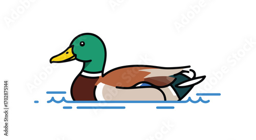 A delightful vector illustration of a mallard duck gently floating on tranquil waters expressing charm and simple design qualities appropriate for